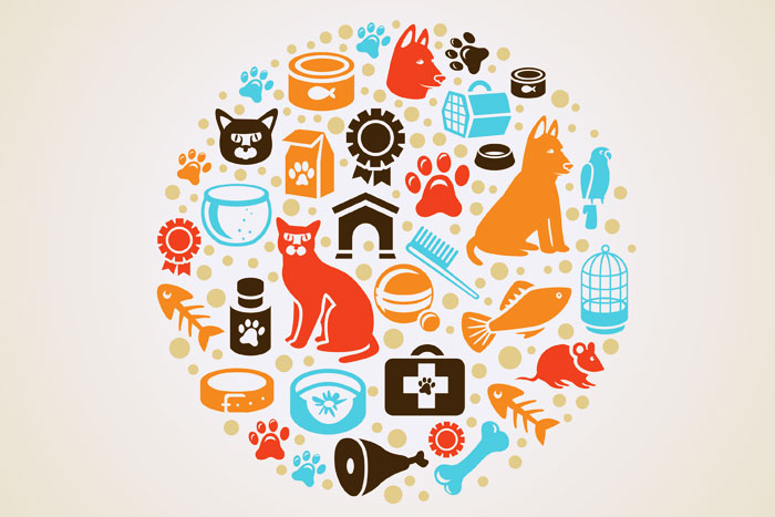 Pet Accessories and Retail